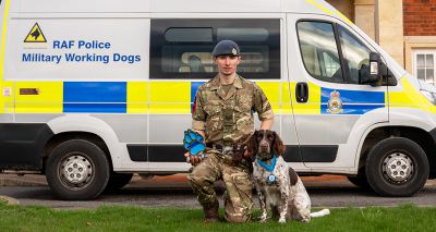 Military police dog scoops national award
